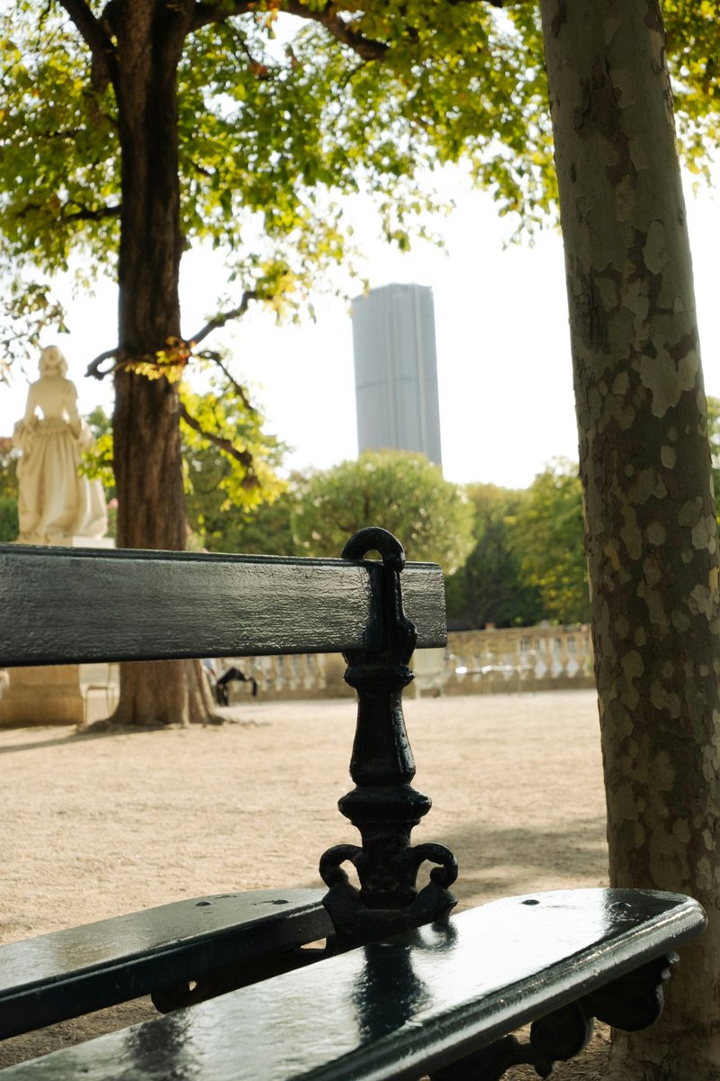 Banc du jardin du Luxembourg avec la tour Montparnasse au loin