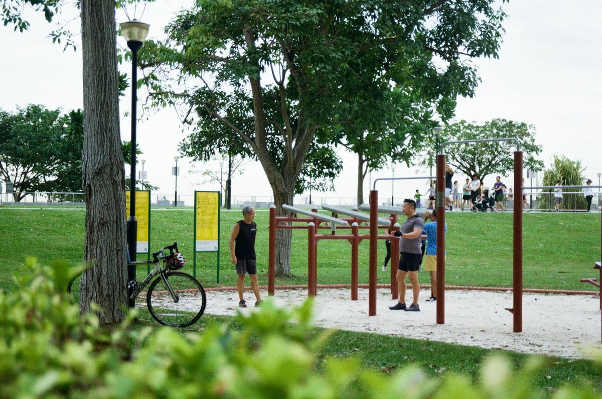 Barres de street workout dans un parc arboré, quelques sportifs au loin